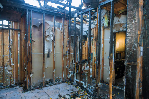 Professional Smoke Damage Removal technician working in Saint Cloud, MN